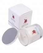 GREENWICH POLO CLUB ΑΡΩΜΑΤΙΚΟ ΚΕΡΙ VANILLA 3001 Κεριά