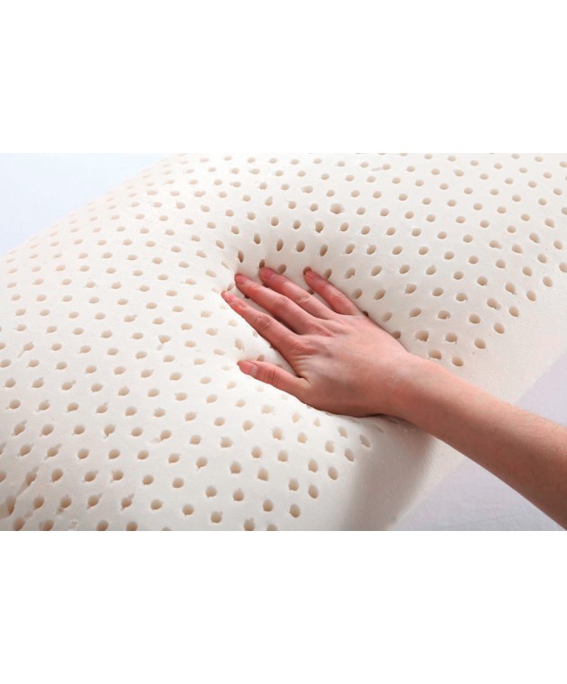 Μαξιλάρι VISCO Elastic (aloe vera) 60 x 40 x 12 Μαξιλάρια  Ανατομικά