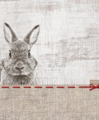 Σουπλά Easter 10. 45x33 Σουπλά Πασχαλινά