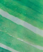 Leaves 180Πx200Υ green κουρτίνα μπάνιου πλαστική Sealskin Κουρτίνες Mπάνιου