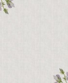 Τραβέρσα 18 Green 40x160 Ράνερ