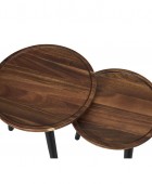 ΤΡΑΠΕΖΆΚΙΑ ΣΑΛΟΝΙΟΎ ROUND NESTING TABLE ACACIA X2 HD0290 Τραπεζάκια Σαλονιού