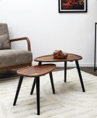 ΤΡΑΠΕΖΆΚΙΑ ΣΑΛΟΝΙΟΎ ACACIA TRIANGLE NESTING TABLE X2 HD0291 Τραπεζάκια Σαλονιού