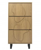 ΠΑΠΟΥΤΣΟΘΉΚΗ SHOE CHEST CALYPSO M1 A1/M1 HD0429 Παπουτσοθήκες