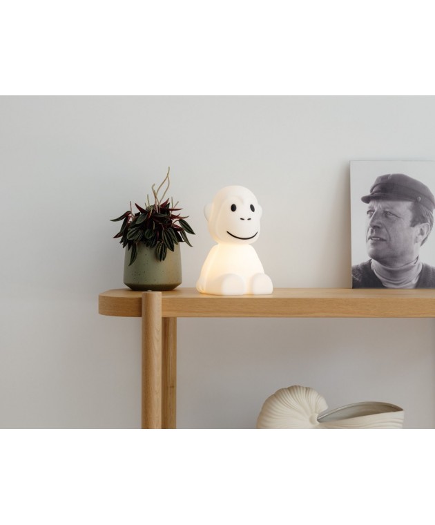 ΦΩΤΙΣΤΙΚΆ ΜΠΑΤΑΡΊΑΣ & ΗΛΙΑΚΆ MONKEY LAMP BUNDLE OF LIGHT 23 CM WHITE
