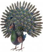 ΔΙΑΚΌΣΜΗΣΗ & ΟΡΓΆΝΩΣΗ ΜΠΑΛΚΟΝΙΟΎ PEACOCK METAL 30X65X63CM