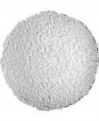  ΠΙΑΤΕΛΑ ΣΕΡΒΙΡΙΣΜΑΤΟΣ ROCHE ΓΥΑΛΙΝΗ 32x2.9cm 07-39394 Πιατέλες