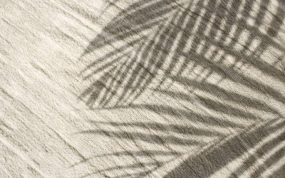 Αν αγαπάς το καλοκαίρι, πρέπει να διαβάσεις αυτό το άρθρο