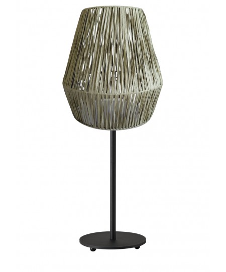 TLA 6873 GN/BK ΠΟΡΤΑΤΙΦ ΒΑΣΗ ΜΑΥΡΗ ΜΕ ΚΑΠΕΛΟ ΠΡΑΣΙΝΟ ΦΥΛΛΟ ΜΠΑΝΑΝΙΑΣ 1ΧΕ14