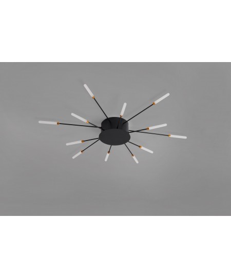 CCC 709-12 LED ΟΡΟΦΗΣ ΜΑΥΡΟ ΑΚΤΙΝΕΣ