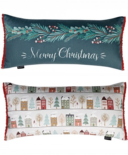 SNOW 236 ΜΑΞΙΛΑΡΙ.ΔΙΑΚΟΣΜΗΤΙΚΟ ΜΕ ΓΕΜΙΣΜΑ 30Χ60