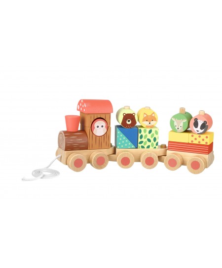 Ξύλινο Τρενάκι Woodland (FSC®) Orange Tree Toys