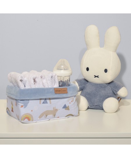 Καλάθι Αποθήκευσης Διπλής Όψης Design 411 Oliver Baby