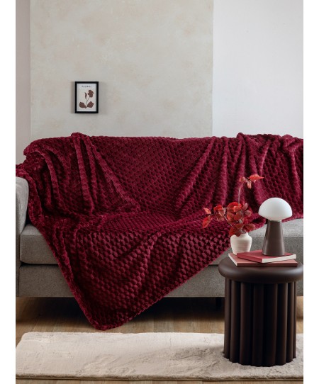 Κουβέρτα Fleece 160x220 ASTER WINE