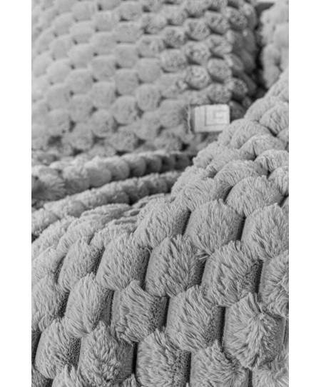 Ριχτάρι Elixir Silver 120x160 + Διακοσμητική Μαξιλαροθήκη